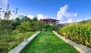garden