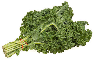 2_Kale-Bundle