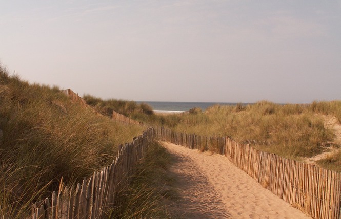 2_Biville Dunes