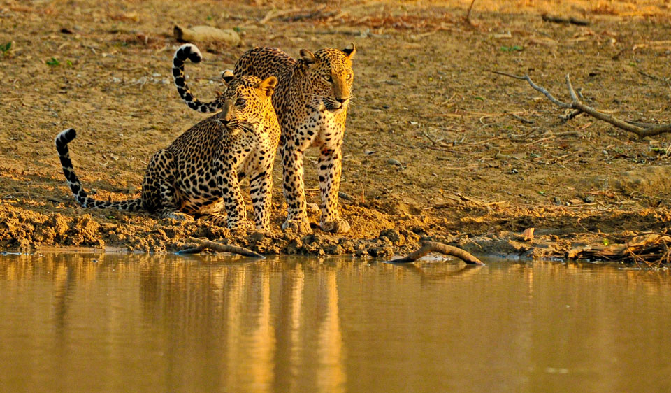 Best Wildlife and Marine Tourism Service Provider