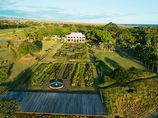 A Sea Of Possibilities For Indian Travellers In Mauritius-Image 3