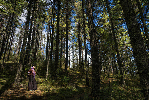 Bhutan Is In Harmony With Nature, Well-Being and Sustainability-Image 3