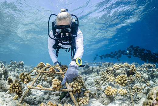 Running on Island Time in Maldives-Image 6